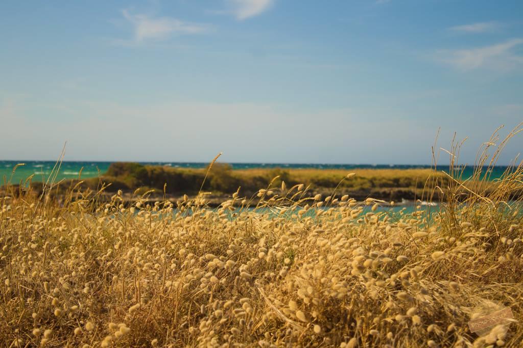 Borgo Degli Artisti Villa Ostuni Exterior foto